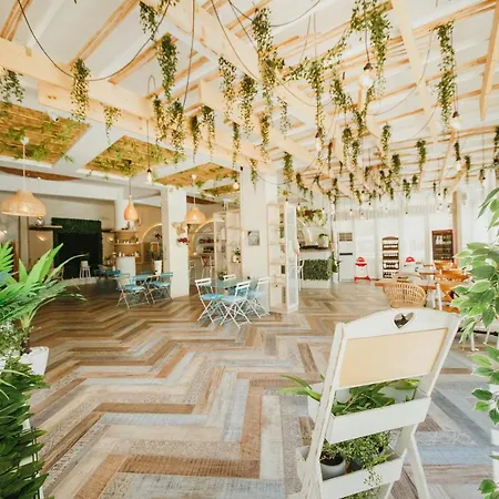 Spacious One Bedroom In Caesar & Spa, Long *