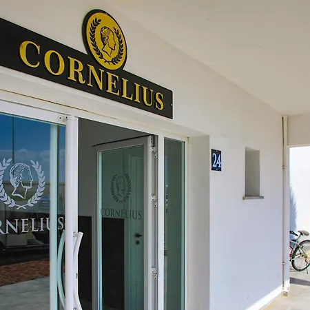 Spacious One Bedroom In Caesar & Spa, Long * Perivolia tou Trikomou