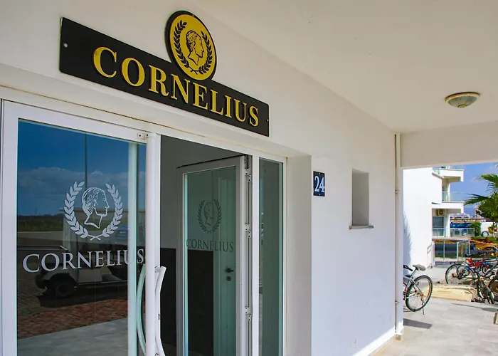 Spacious One Bedroom In Caesar & Spa, Long * Perivolia tou Trikomou